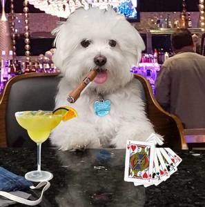 Meet your Posher, Mark